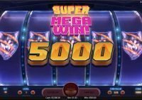 Spinsane (NetEnt) Slot Review