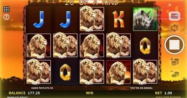 Africa X Up (Microgaming) Slot Review